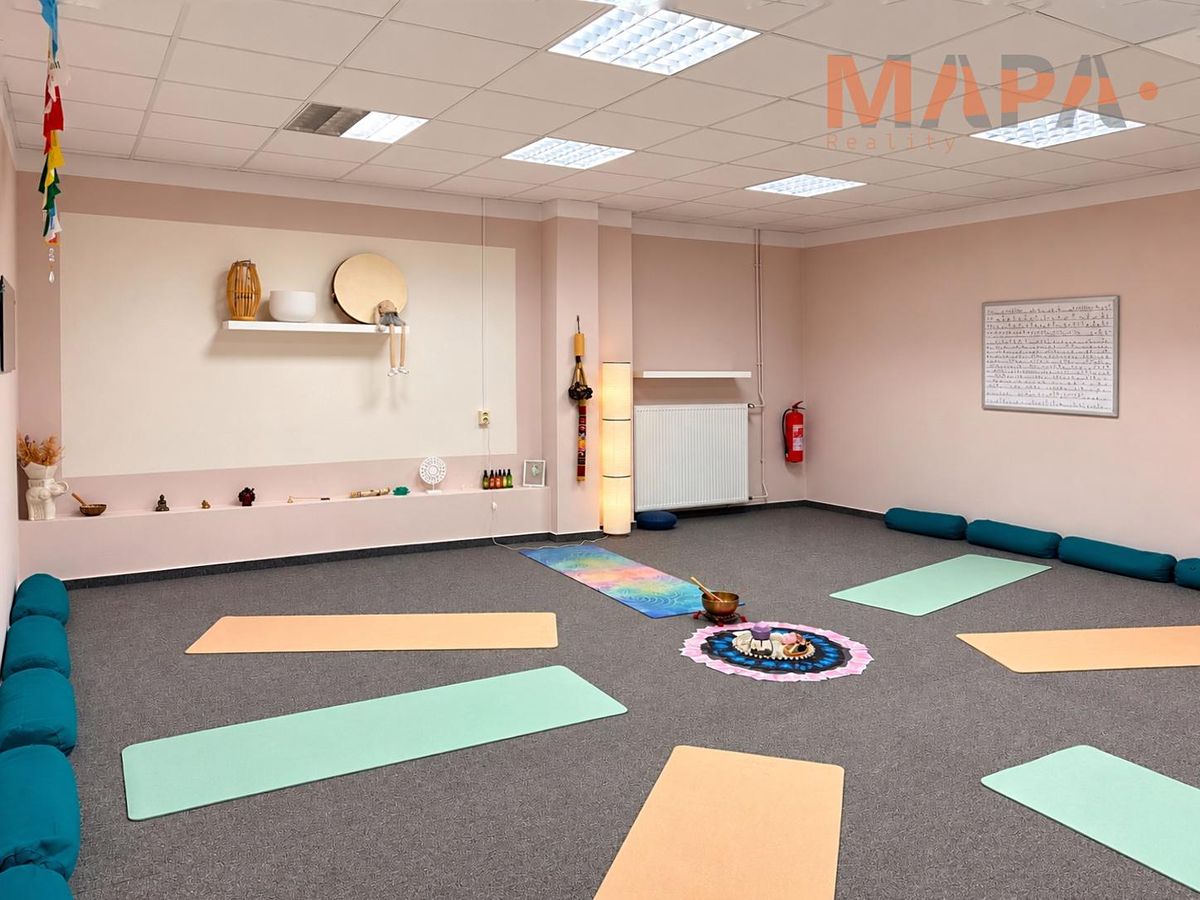 Pronájem obchodního prostoru 47 m²