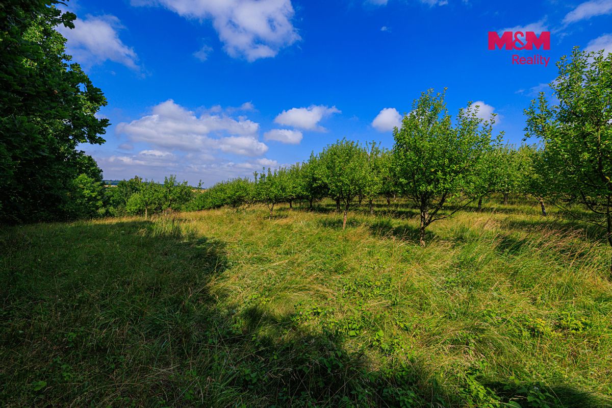 Prodej pole 9766 m² – fotografie 2