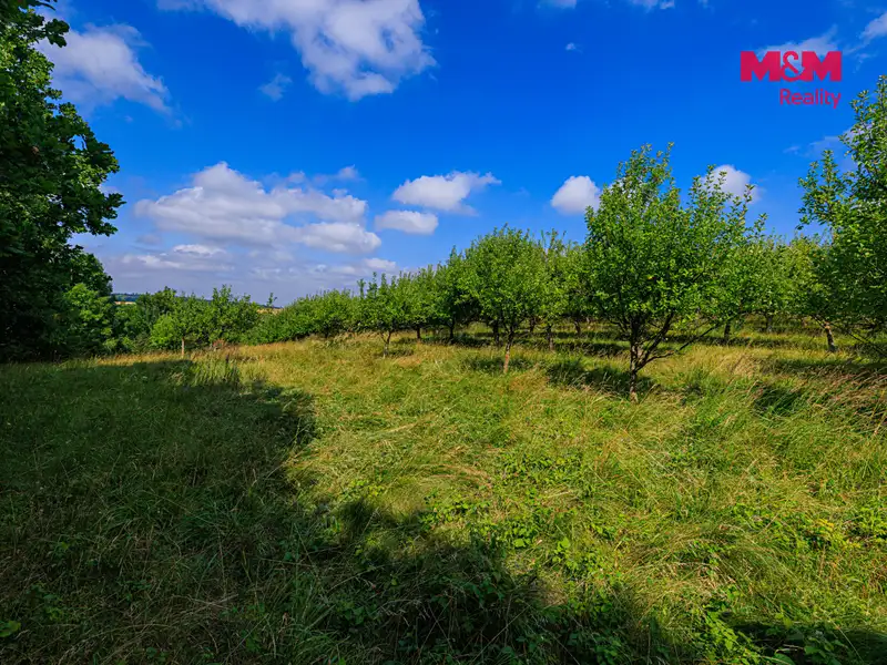 Prodej pole 9766 m², Polom – náhled fotky 2