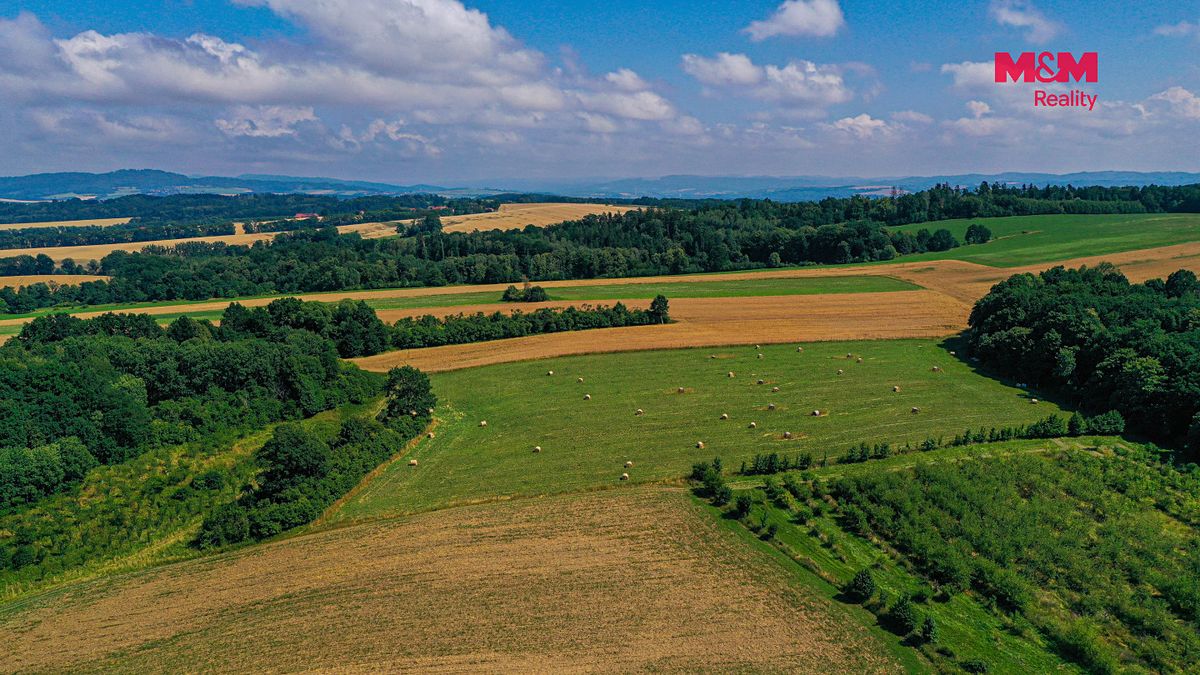Prodej pole 2771 m² – fotografie 3