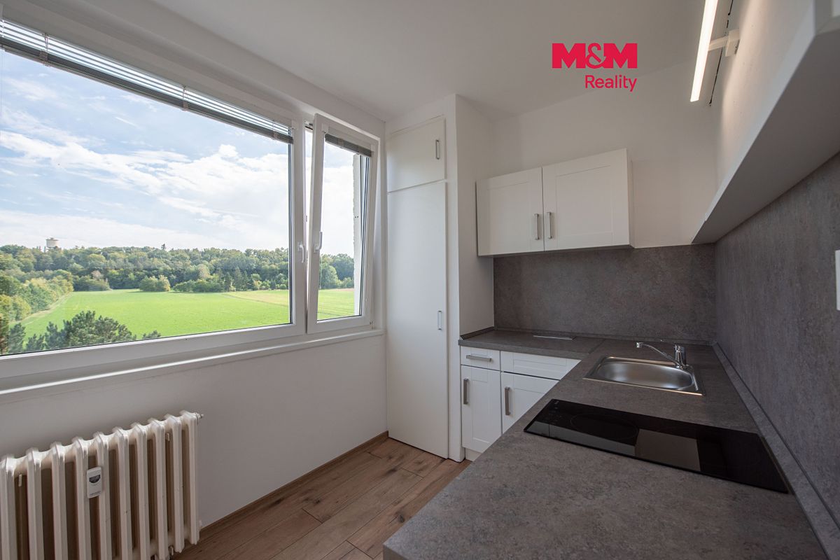 Pronájem bytu 1+1 33 m²