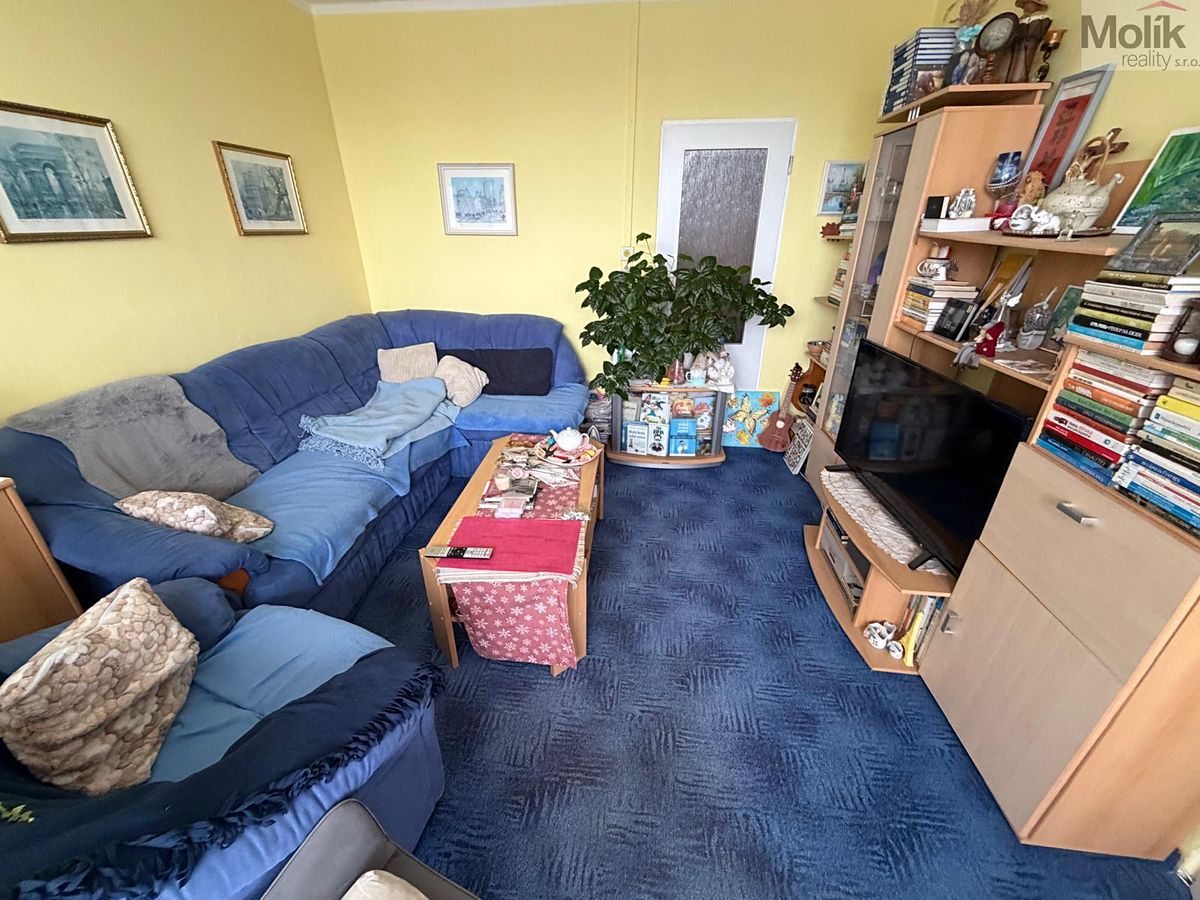 Prodej bytu 3+1 63 m² – fotografie 3