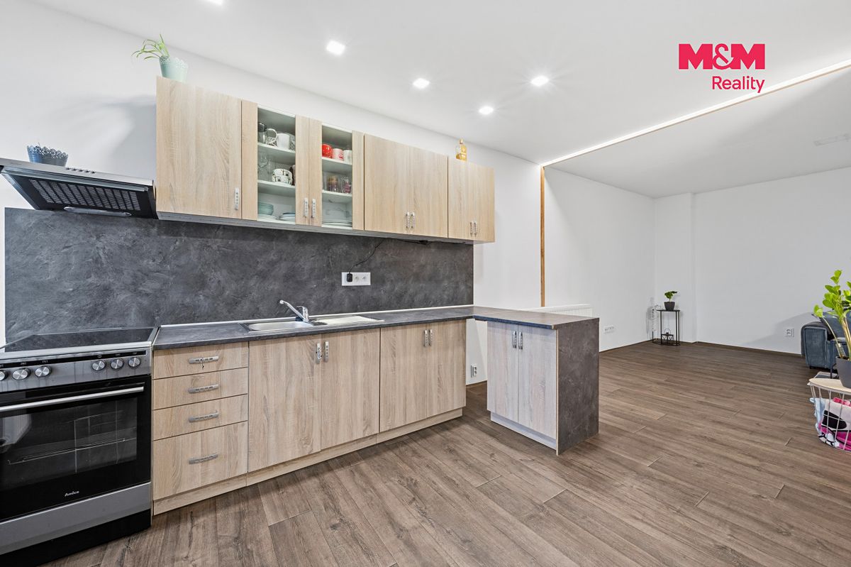 Prodej rodinného domu 454 m², pozemek 1395 m² – fotografie 3