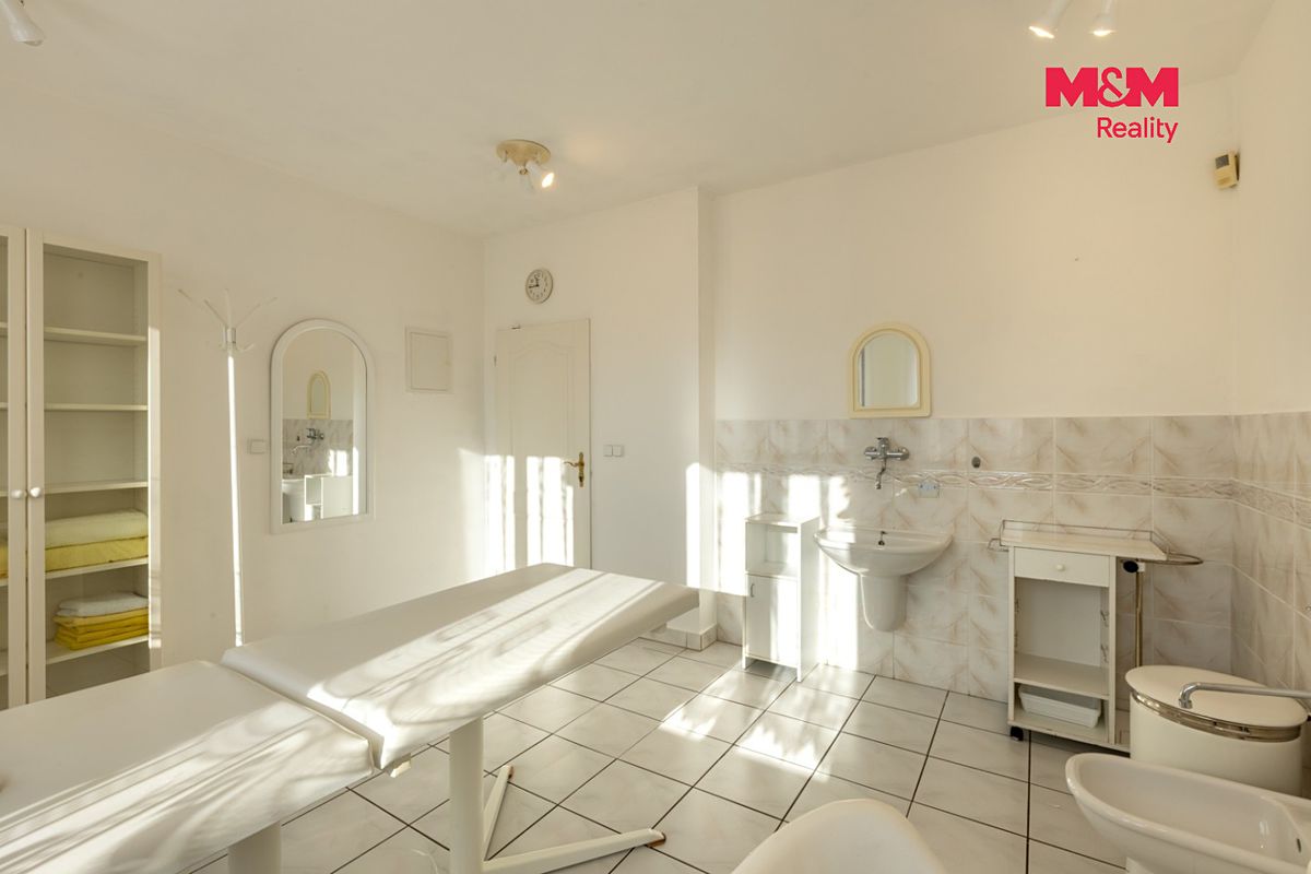 Prodej obchodního prostoru 440 m² – fotografie 3