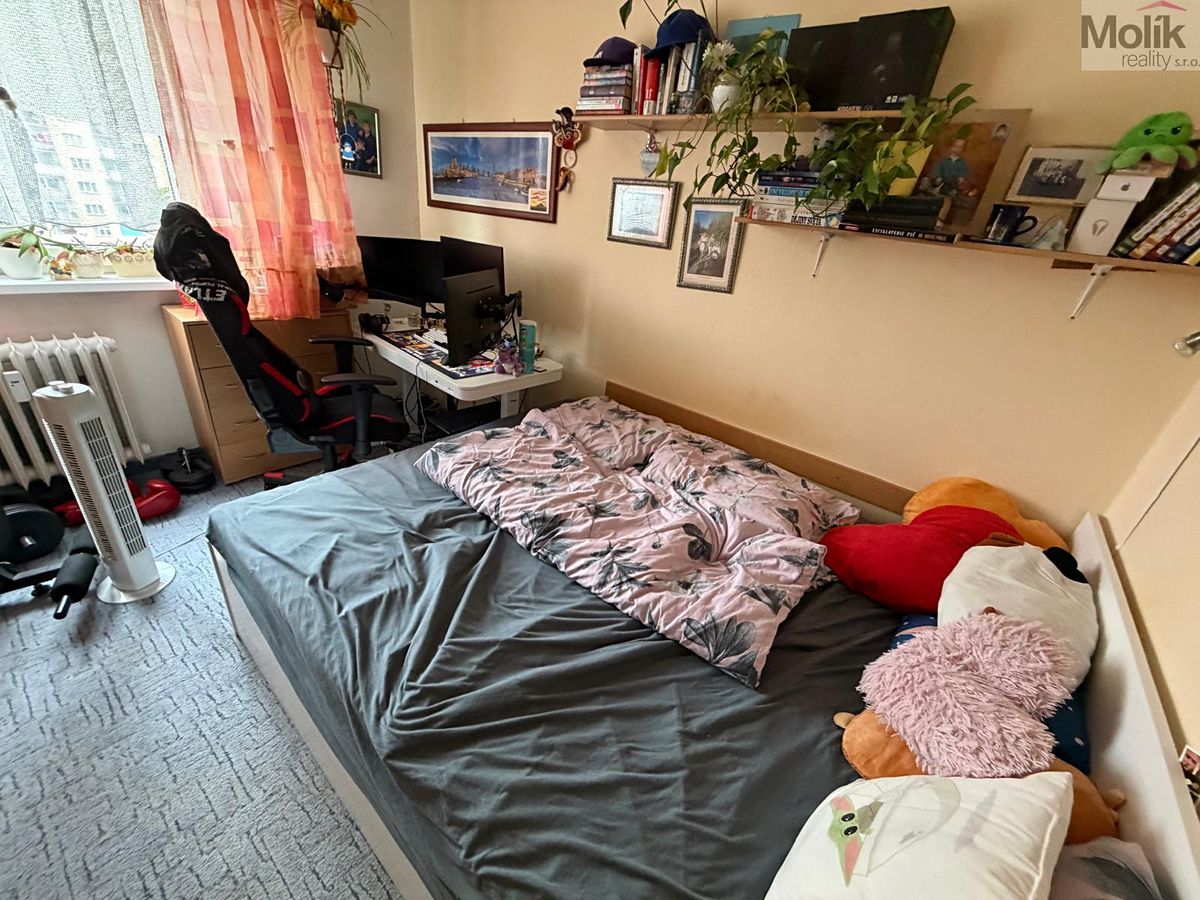 Prodej bytu 3+1 63 m² – fotografie 5