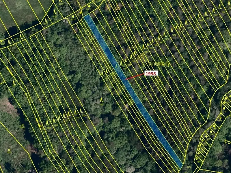 Dražba lesa 1069 m², Kelníky – náhled fotky 2