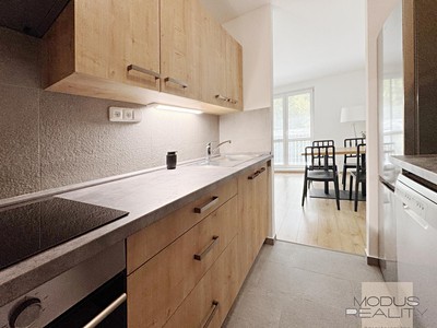 Pronájem bytu 3+kk 55 m²