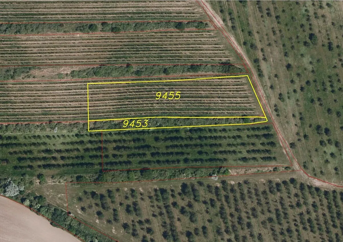 Prodej pole 4334 m²