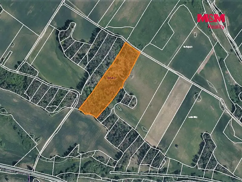Prodej lesa 3304 m², Trnava – náhled fotky 3