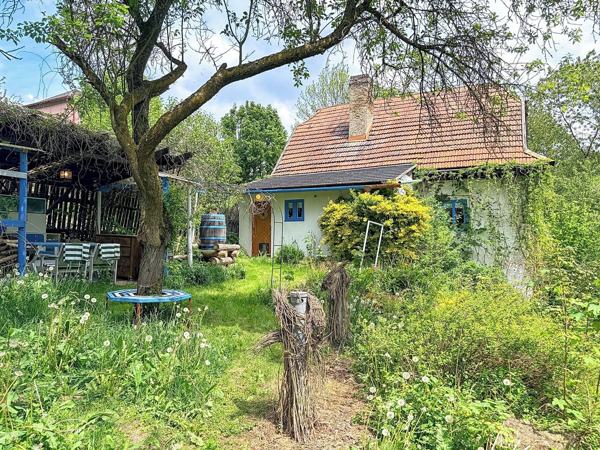 Prodej rodinného domu 117 m², pozemek 1375 m² – fotografie 2