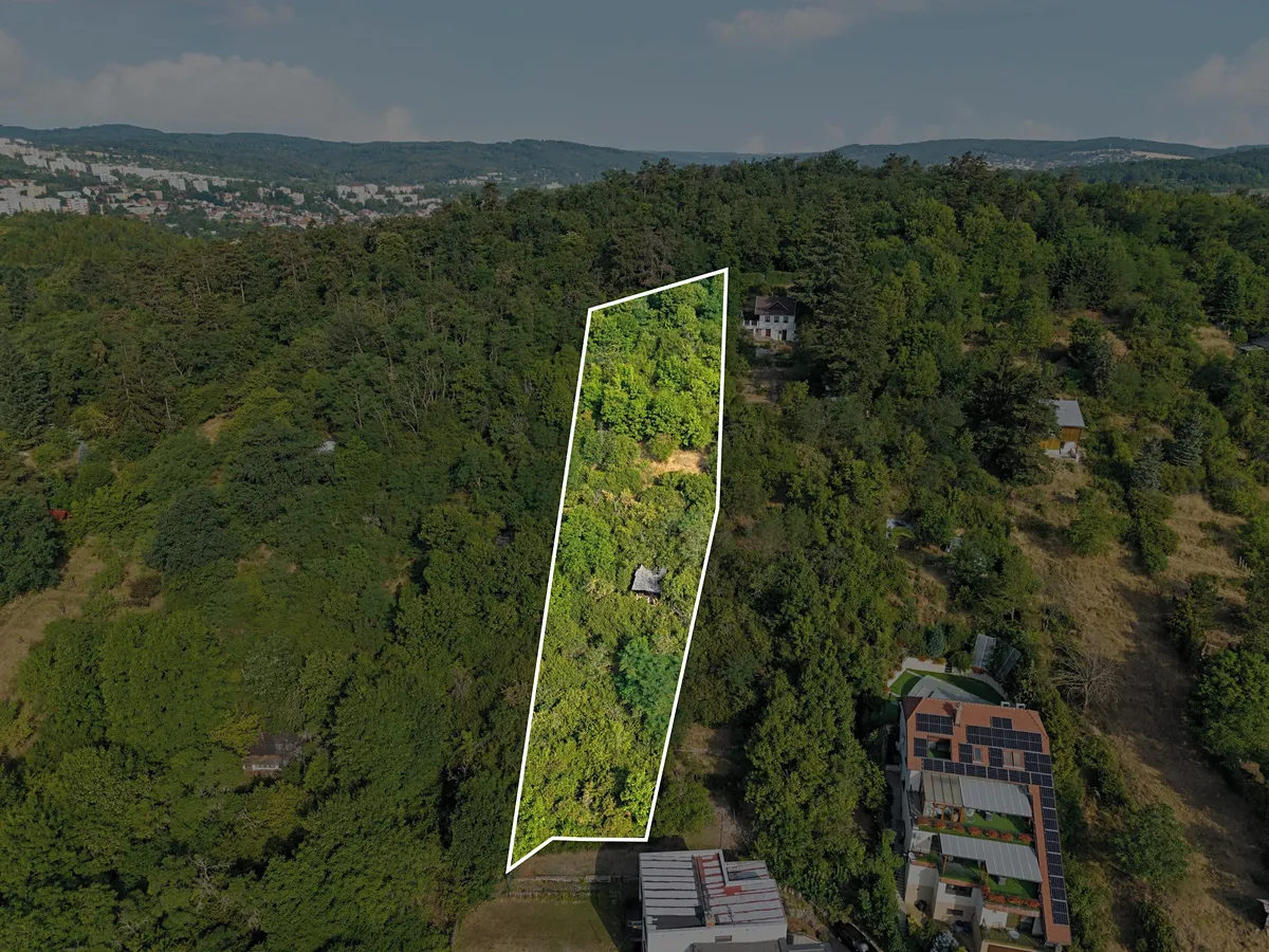 Prodej zahrady 2516 m²