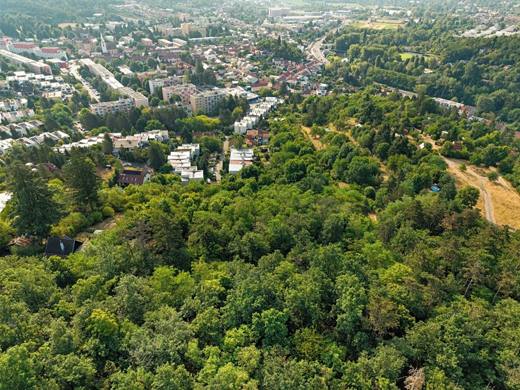 Prodej pozemku, 2 516 m² (4 z 15)