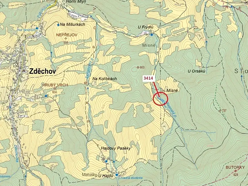 Dražba lesa 2122 m², Zděchov – náhled fotky 1