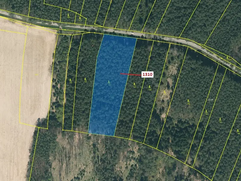 Dražba lesa 7441 m², Skalice – náhled fotky 2