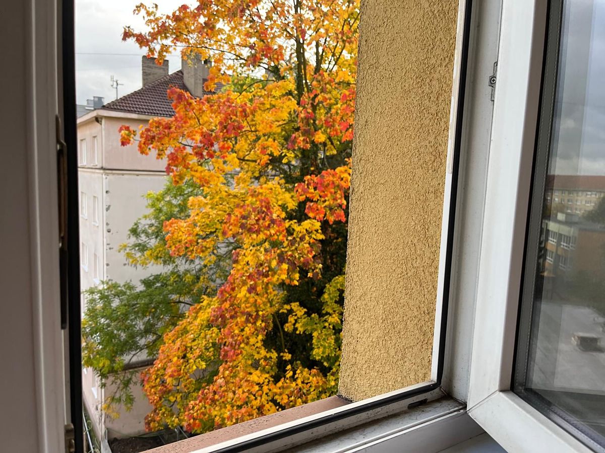 Pronájem bytu 1+kk 22 m² – fotografie 5