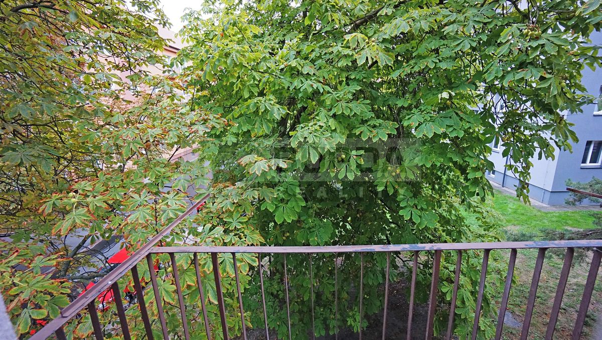 Pronájem bytu 2+1 55 m² – fotografie 4