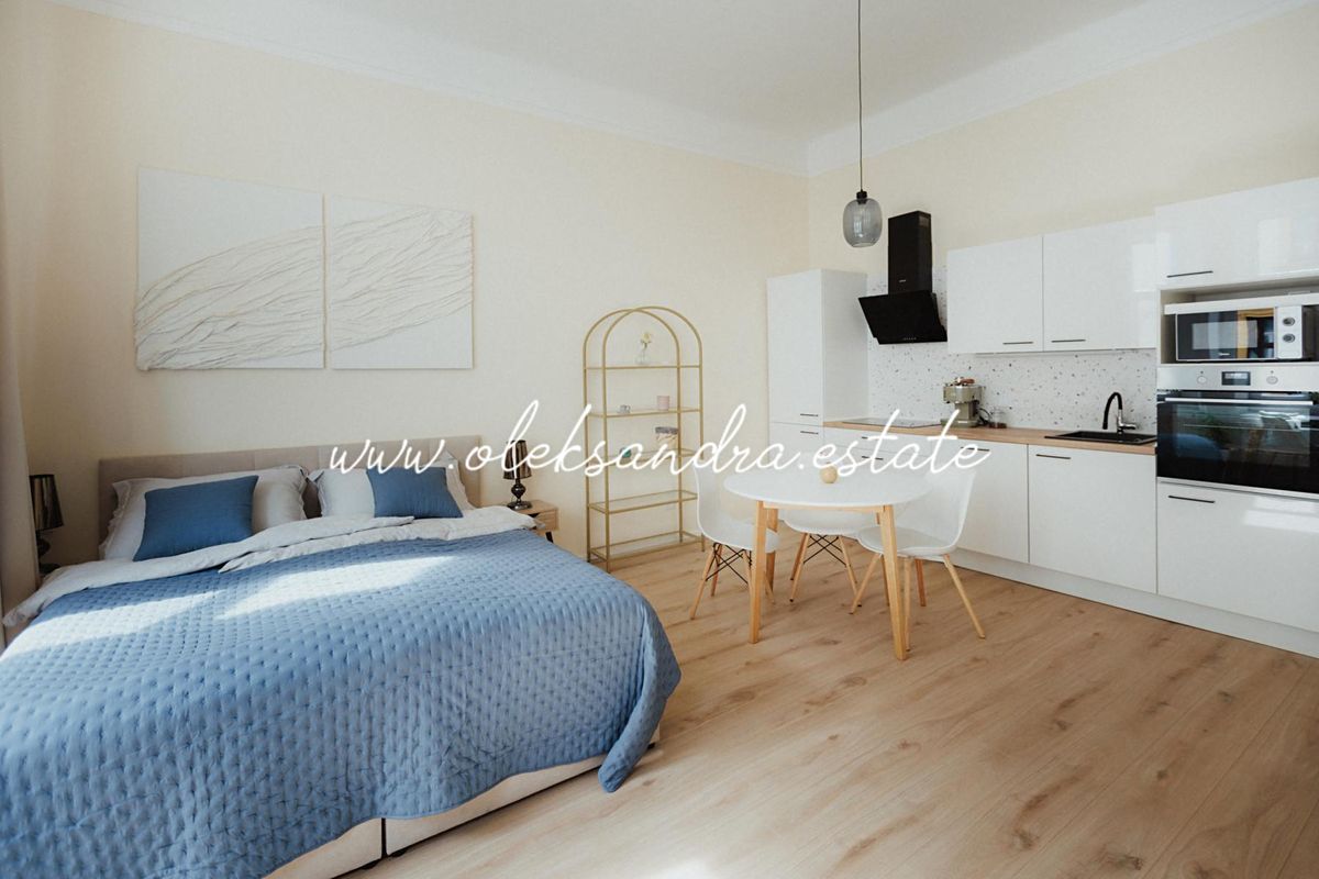 Pronájem bytu 1+kk 40 m² – fotografie 2