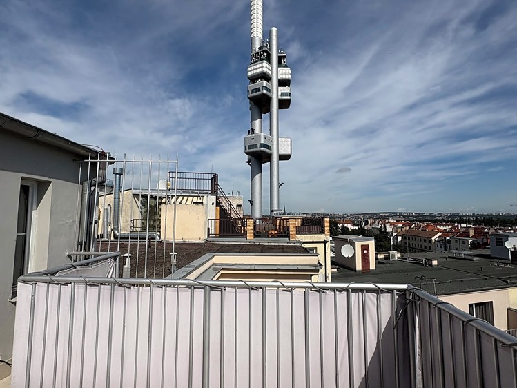 The 2+1 flat for rent, 122 m² (9 of 12)