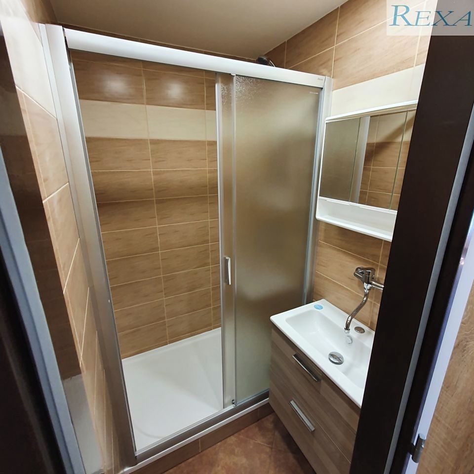 Pronájem bytu 1+kk 40 m² – fotografie 4