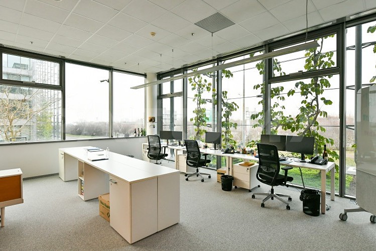 Gewerbefläche zur Miete, 200 m² (2 von 12)