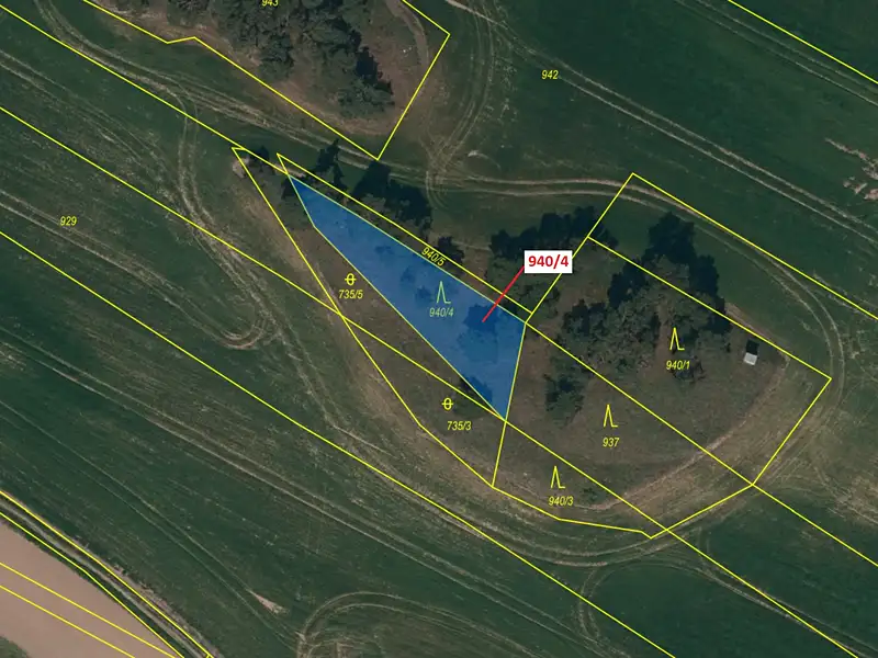 Dražba lesa 591 m², Vladislav – náhled fotky 2