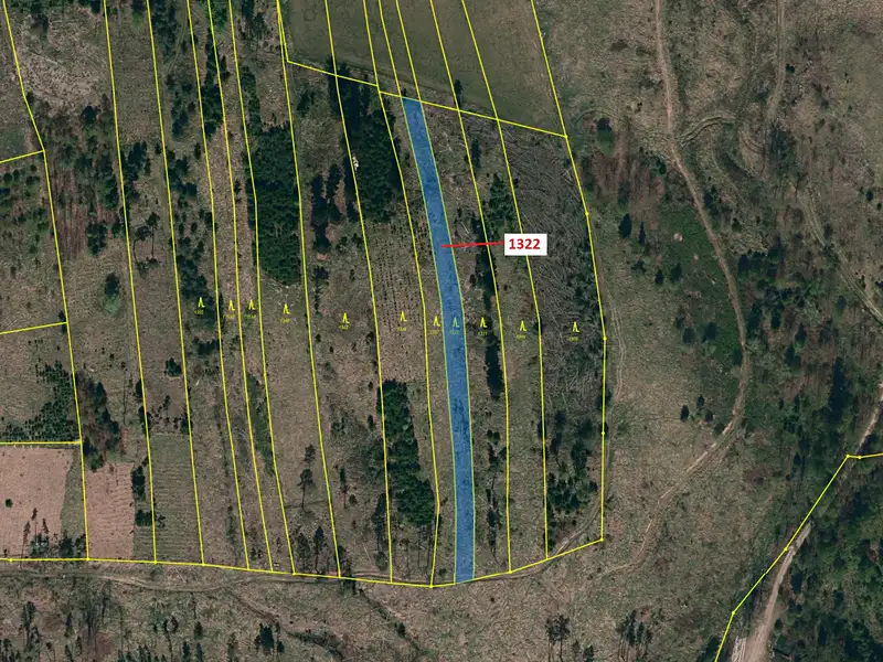 Dražba lesa 1888 m², Vladislav – náhled fotky 3