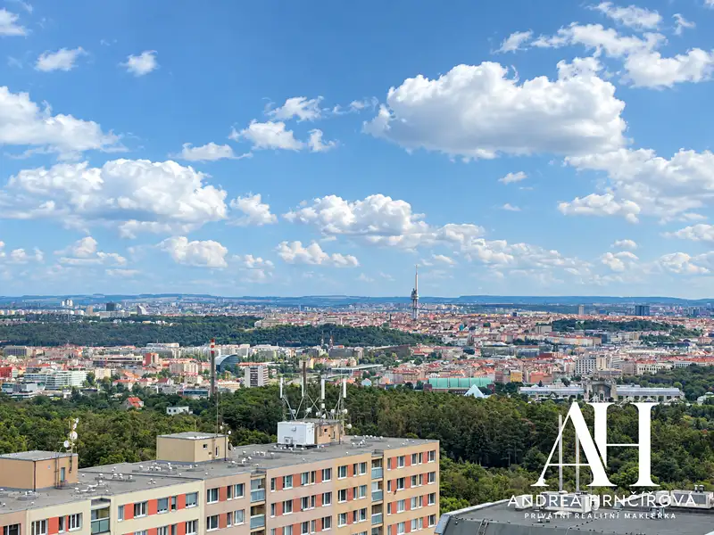 Prodej bytu 2+kk 37 m², Praha – náhled fotky 2
