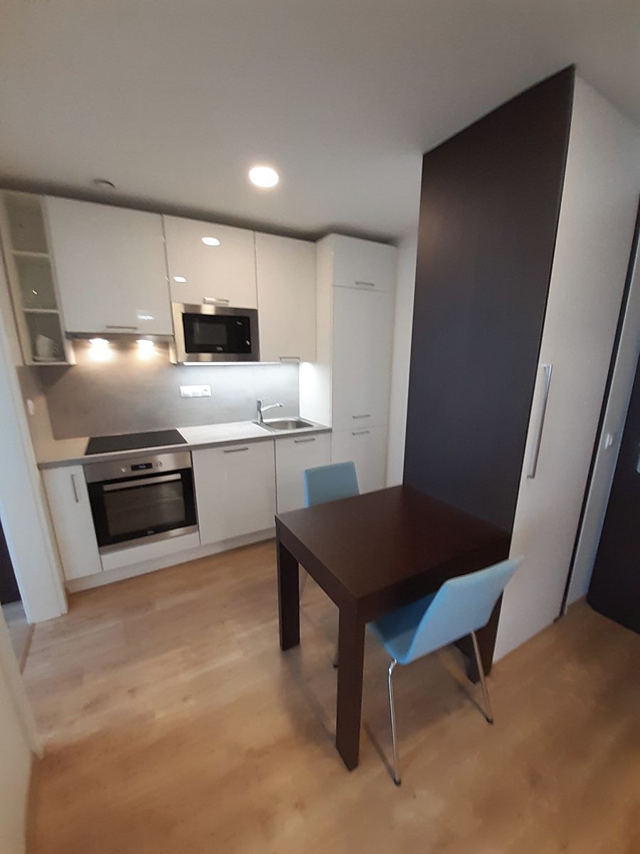 Pronájem bytu 2+1 42 m² – fotografie 3