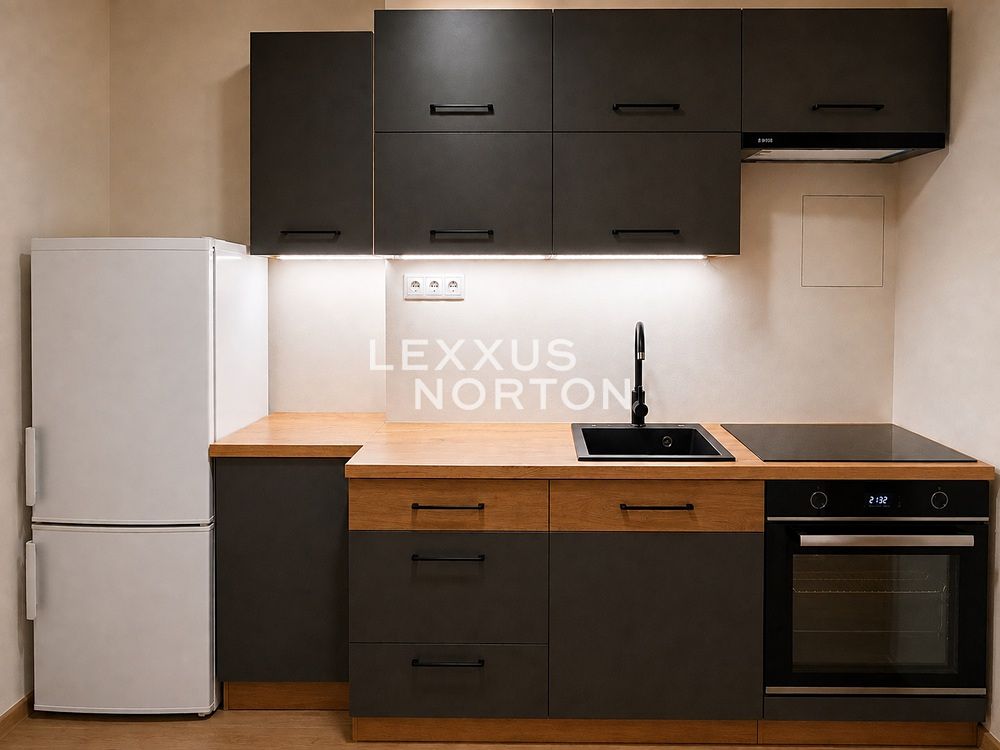Pronájem bytu 2+1 55 m²