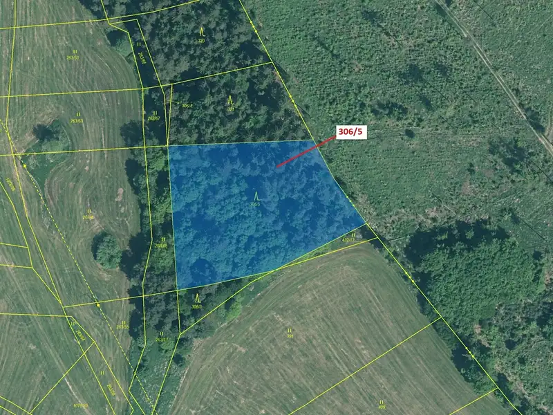 Dražba lesa 4906 m², Záhoří – náhled fotky 2