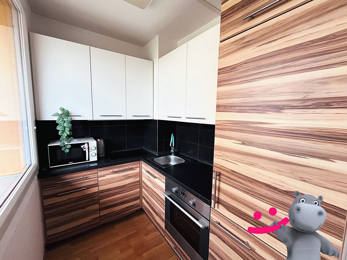 Pronájem bytu 1+kk 35 m²