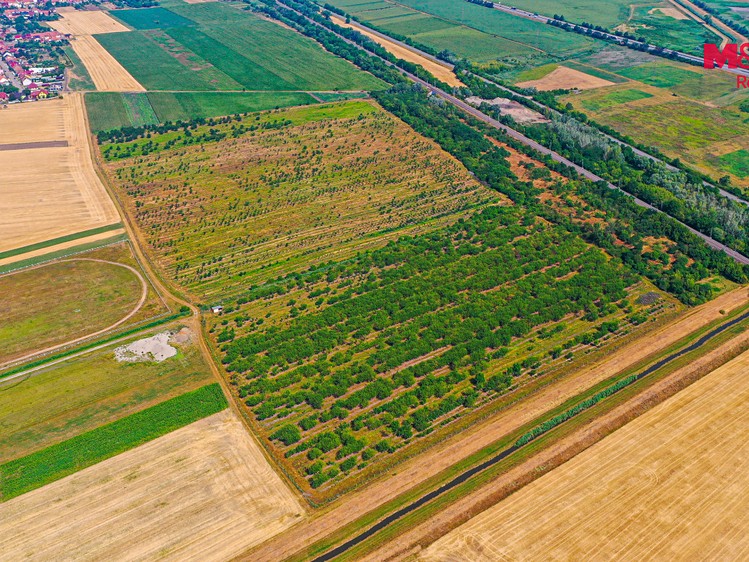 Ділянка на продаж, 53 078 м² (3 з 16)