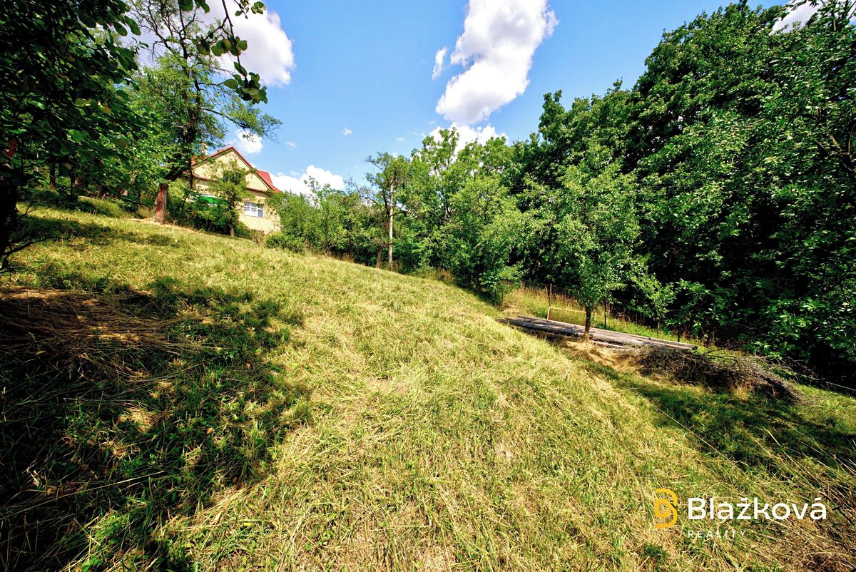 Prodej činžovního domu 1013 m² – fotografie 5