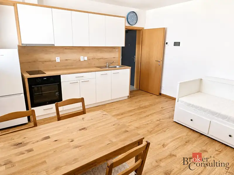 Pronájem bytu 1+kk 25 m², Plzeň – náhled fotky 1