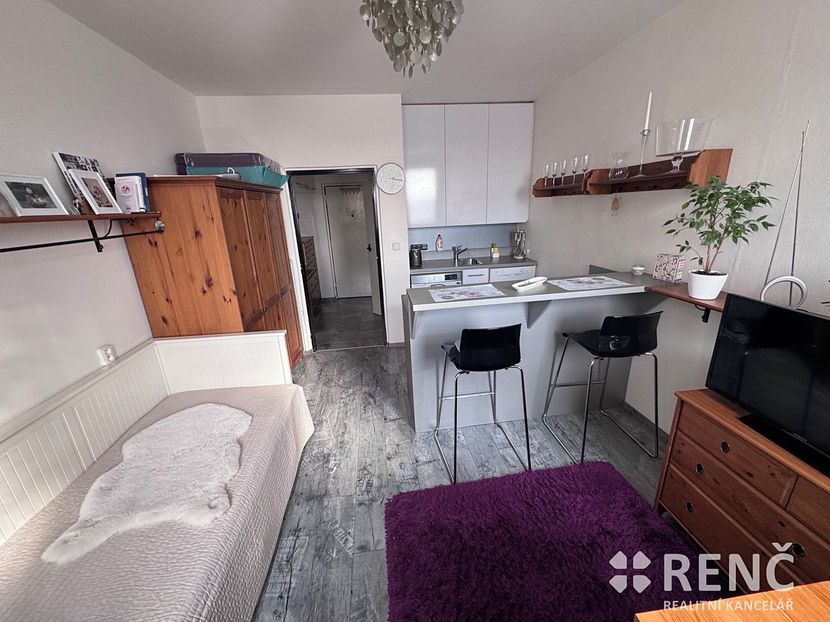 Prodej bytu 1+kk 23 m² – fotografie 3