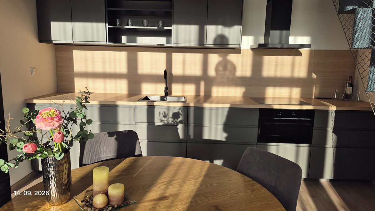 Pronájem bytu 1+kk 65 m² – fotografie 4