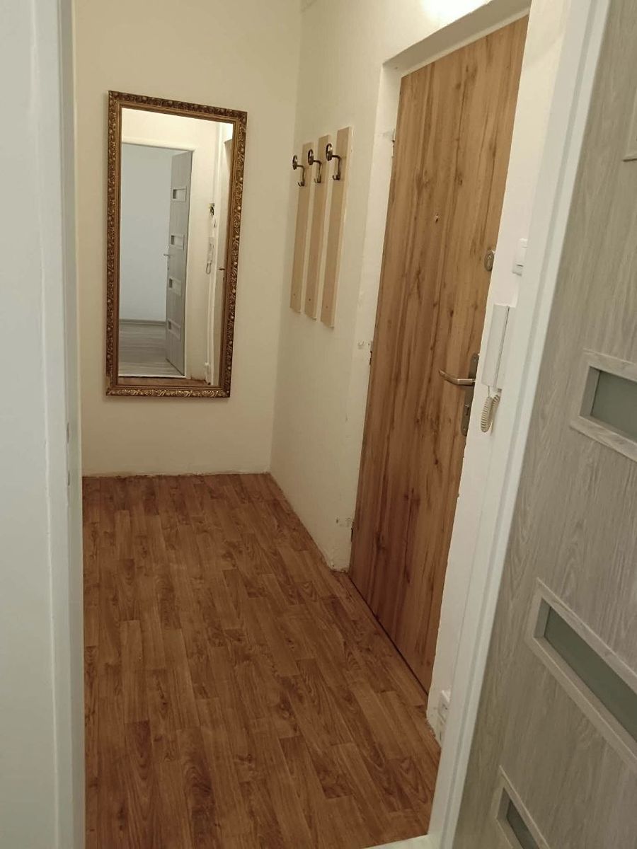 Pronájem bytu 1+1 35 m²