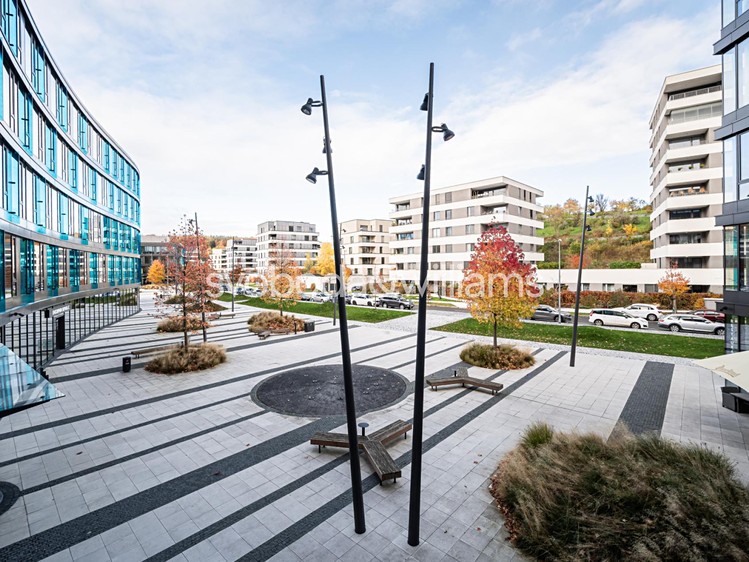 Pronájem komerčního prostoru, 1 298 m² (3 z 17)