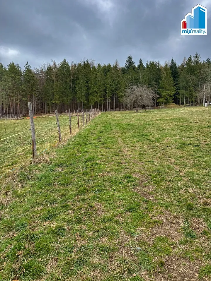 Fotka 14 z 19