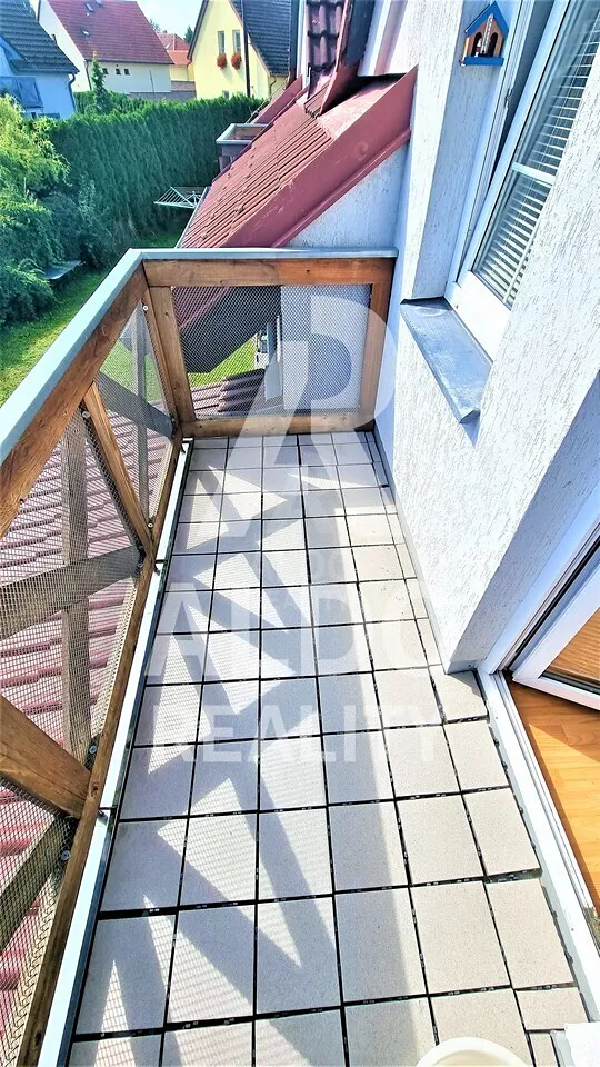 Fotka 9 z 11