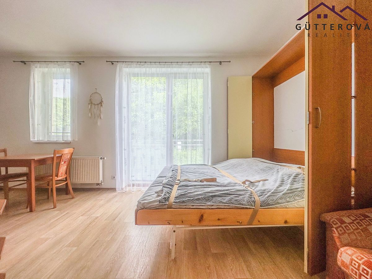 Pronájem bytu 1+kk 25 m² – fotografie 4