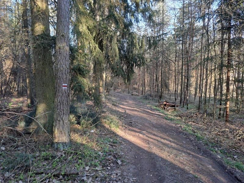 Prodej pozemku 3017 m² – fotografie 5