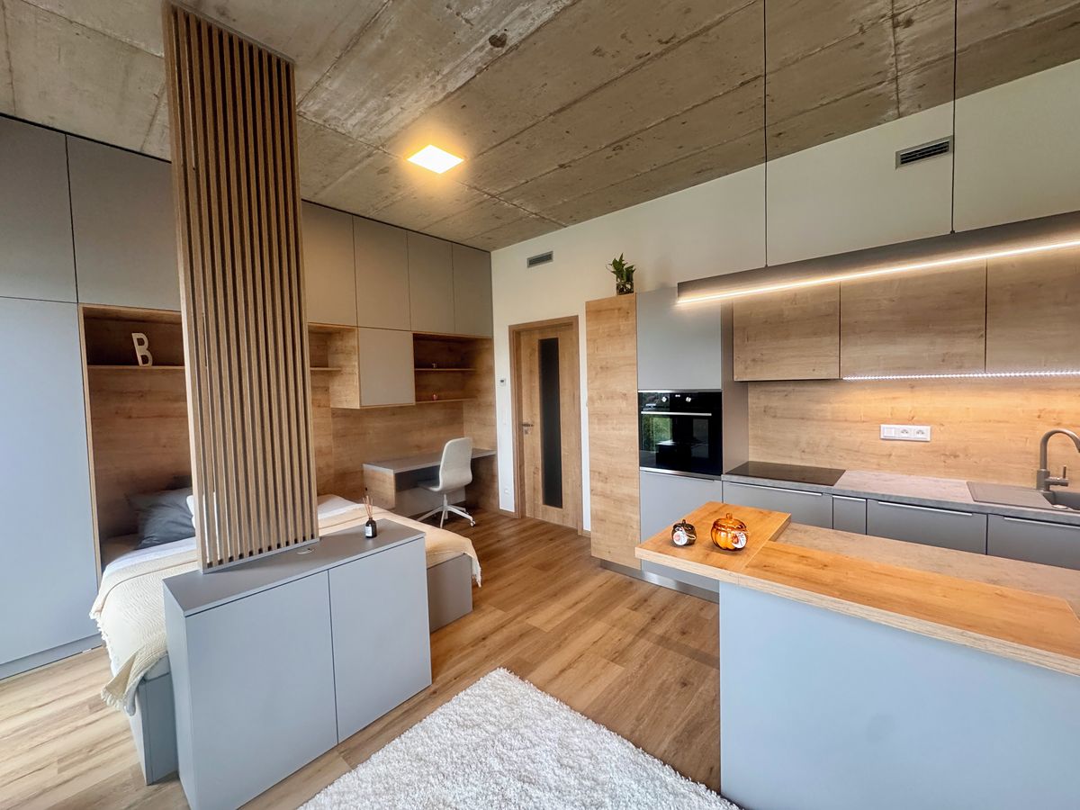 Pronájem bytu 1+kk 33 m² – fotografie 4