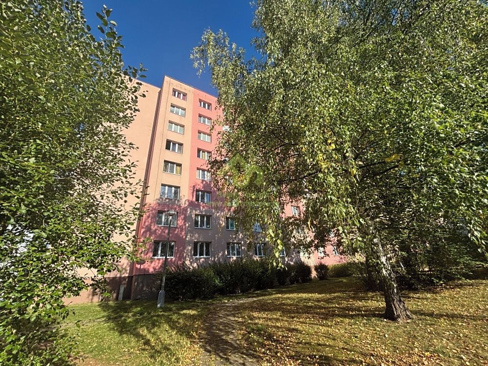 Pronájem bytu 1+1 36 m²