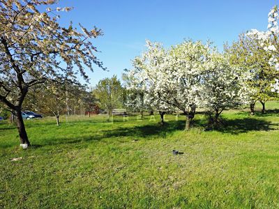 Prodej zahrady 9817 m²