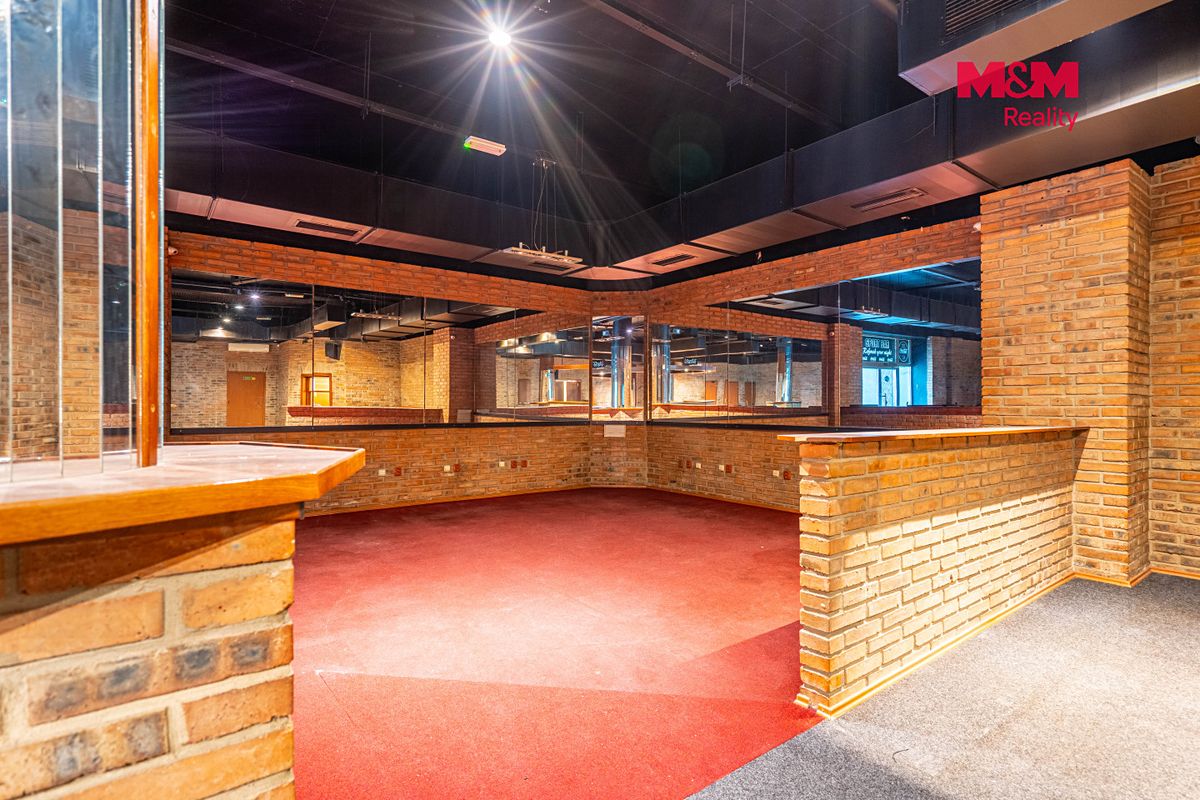 Prodej obchodního prostoru 324 m² – fotografie 5