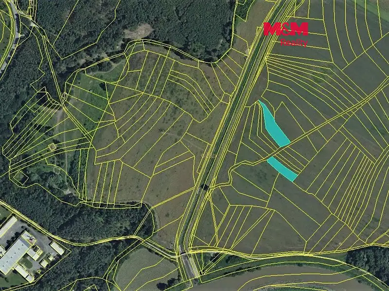 Prodej pole 4305 m², Bzenec – náhled fotky 1