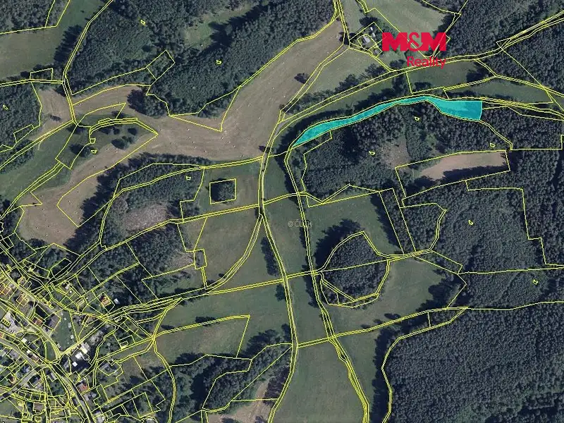 Prodej louky 4258 m², Mařenice – náhled fotky 1