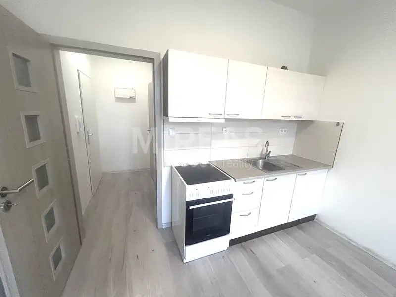 Pronájem bytu 1+kk 25 m², Milovice – náhled fotky 2