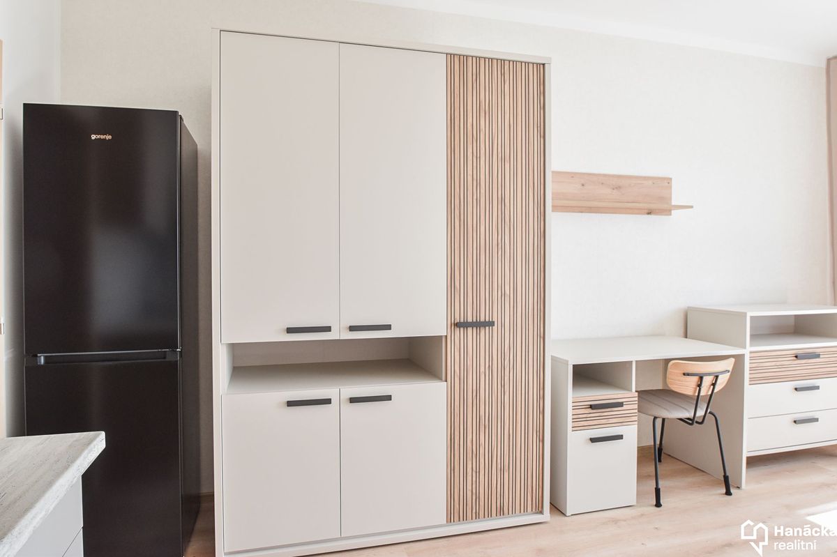 Pronájem bytu 1+kk 29 m² – fotografie 5